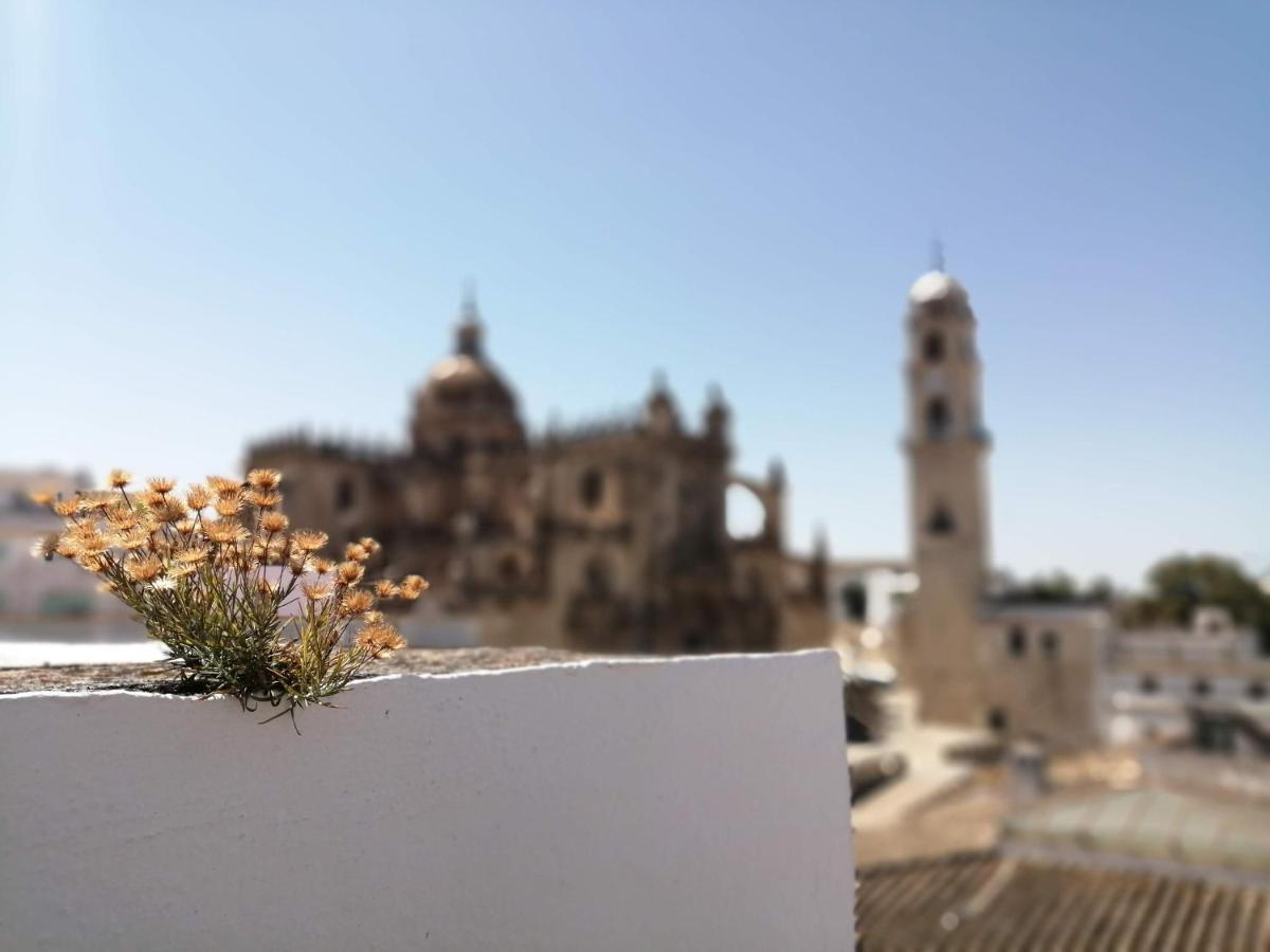 Bellas Artes Catedral جيريز المظهر الخارجي الصورة